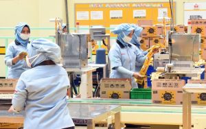 Peluang Industri FMCG