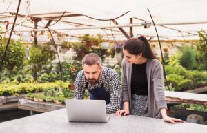software kasir toko pertanian