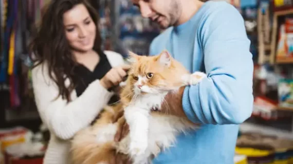 10 Tips Bisnis untuk Usaha Petshop
