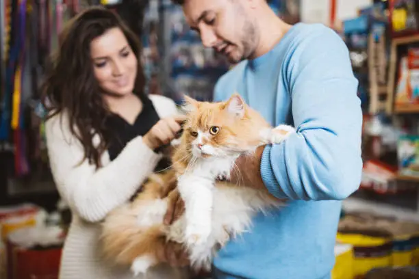 tips bisnis petshop