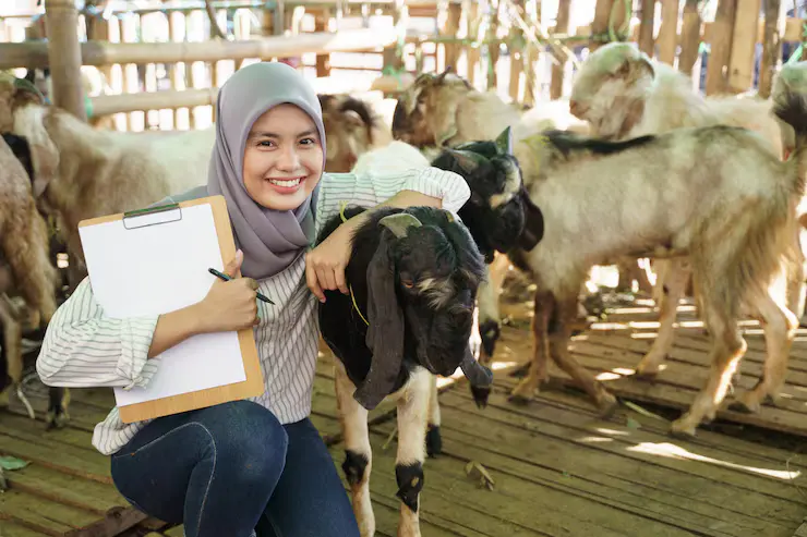 bisnis hewan kurban