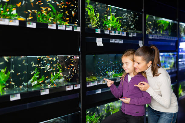 aplikasi kasir toko aquarium