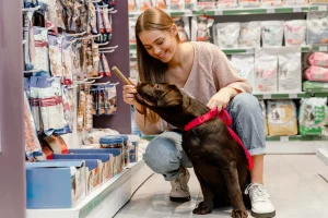 Stok Petshop Tidak Akurat Bikin Omzet Anjlok? Ini Solusinya!