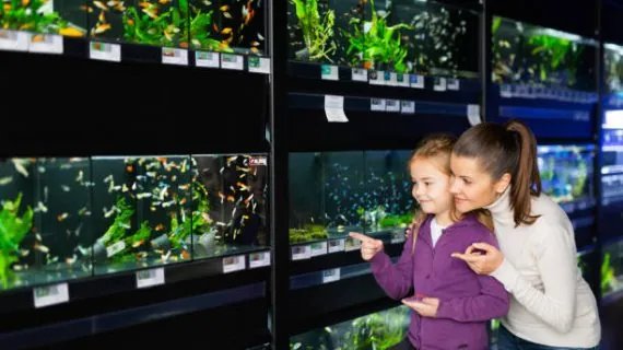Aplikasi Kasir Toko Aquarium Terbaik